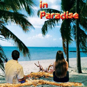 Driftwood in Paradise