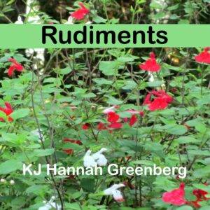 Rudiments